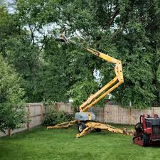 Best Lawn Maintenance Plans  in Clearlake Riviera, CA